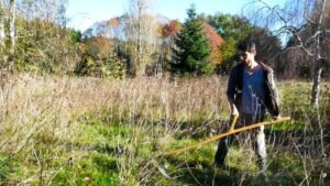 Gérer un grand terrain sans tondeuse