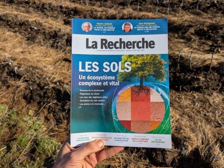 Petit compte-rendu sur le dossier concernant les sols du magazine La Recherche (janvier/mars 2025).