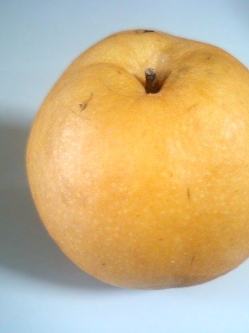 nashi shinko