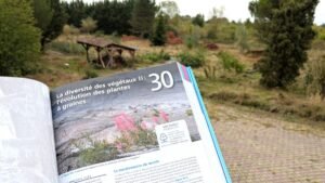 l'évolution des plantes à graines