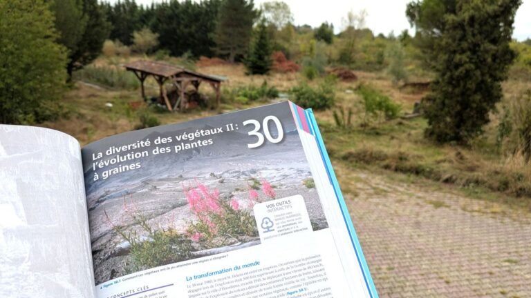 l'évolution des plantes à graines