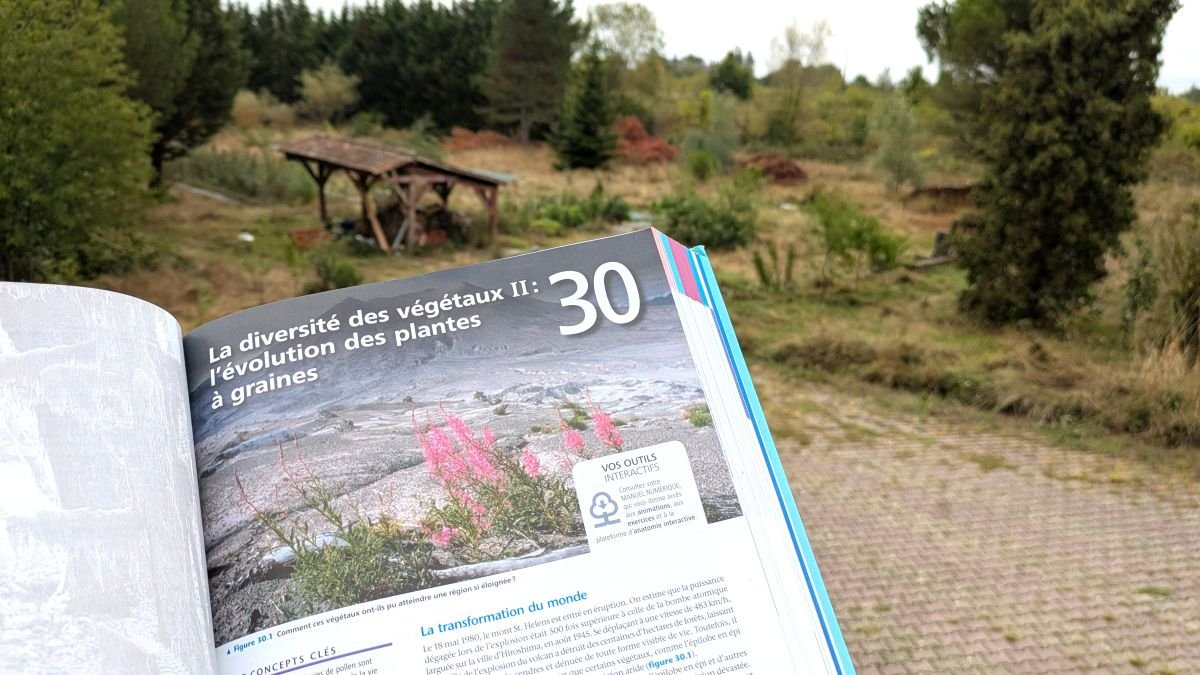 l'évolution des plantes à graines